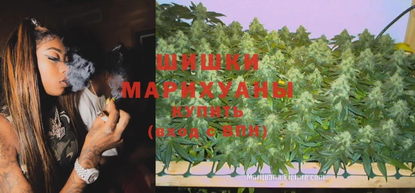 гидра Кулебаки
