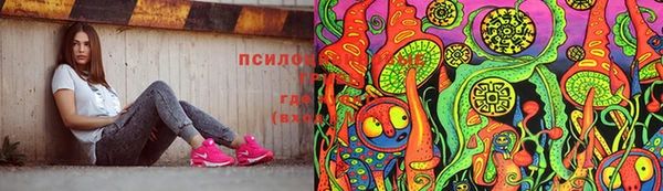 гидра Кулебаки