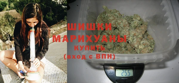 гидра Кулебаки